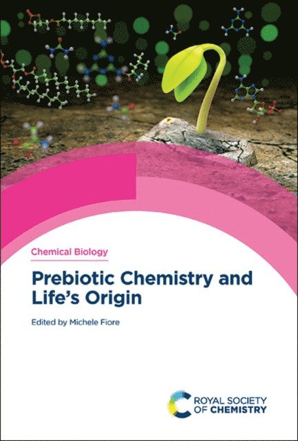 Michele Fiore - Prebiotic Chemistry and Life's Origin, E-bok