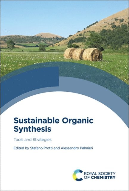 Alessandro Palmieri, Stefano Protti - Sustainable Organic Synthesis, E-bok