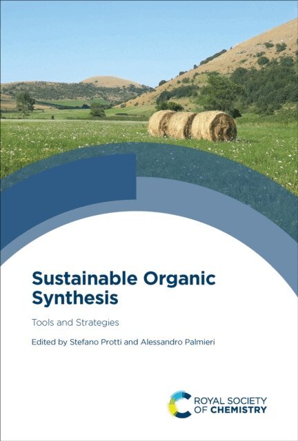 Alessandro Palmieri, Stefano Protti - Sustainable Organic Synthesis, E-bok
