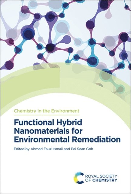 Pei Sean Goh, Ahmad Fauzi Ismail - Functional Hybrid Nanomaterials for Environmental Remediation, E-bok