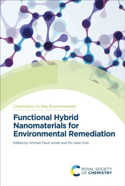 Pei Sean Goh, Ahmad Fauzi Ismail - Functional Hybrid Nanomaterials for Environmental Remediation, E-bok
