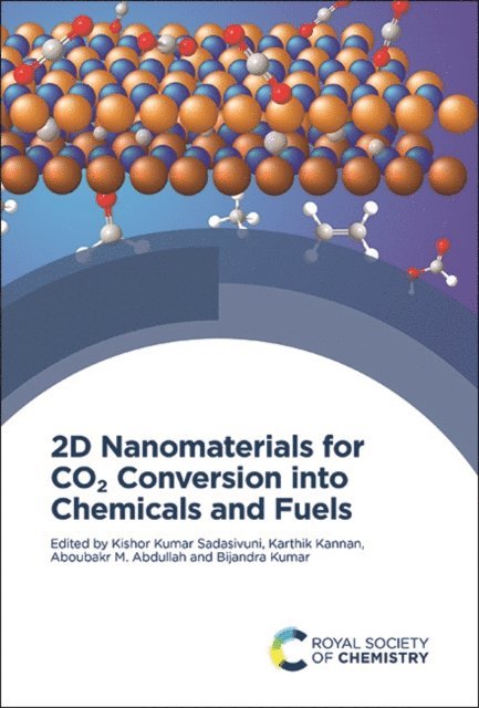 Bijandra Kumar, Aboubakr M Abdullah, Karthik Kannan, Kishor Kumar Sadasivuni - 2D Nanomaterials for CO2 Conversion into Chemicals and Fuels, E-bok