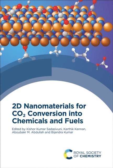 Bijandra Kumar, Aboubakr M Abdullah, Karthik Kannan, Kishor Kumar Sadasivuni - 2D Nanomaterials for CO2 Conversion into Chemicals and Fuels, E-bok