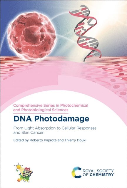 Thierry Douki, Roberto Improta - DNA Photodamage, E-bok