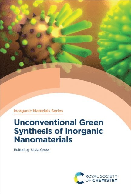 Silvia Gross - Unconventional Green Synthesis of Inorganic Nanomaterials, E-bok