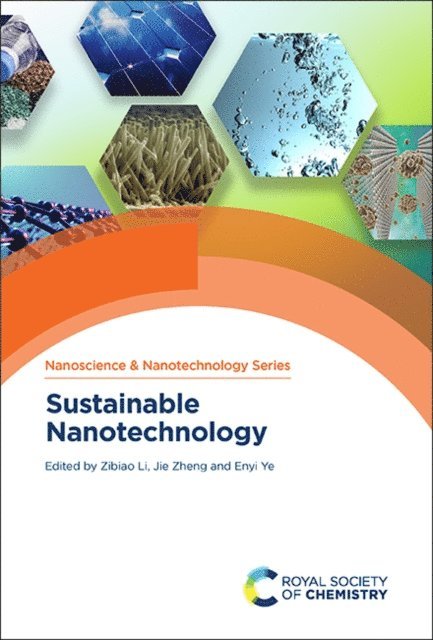 Enyi Ye, Jie Zheng, Zibiao Li - Sustainable Nanotechnology, E-bok