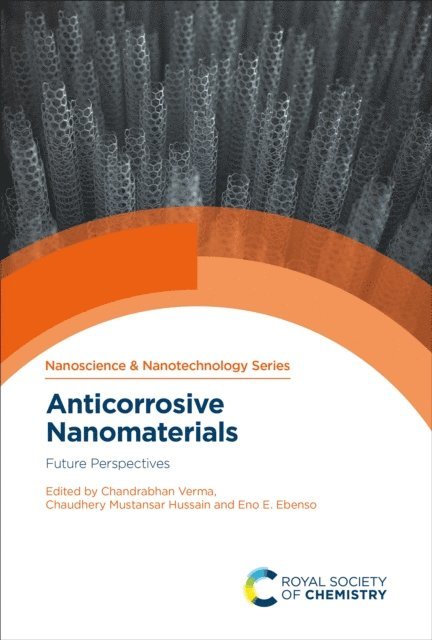 Eno E Ebenso, Chaudhery Mustansar Hussain, Chandrabhan Verma - Anticorrosive Nanomaterials, E-bok