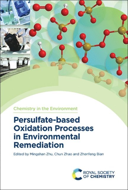 Chun Zhao, Zhenfeng Bian, Mingshan Zhu - Persulfate-based Oxidation Processes in Environmental Remediation, E-bok