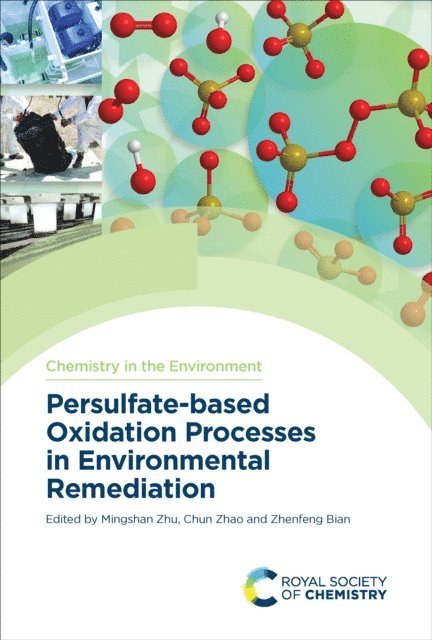 Chun Zhao, Zhenfeng Bian, Mingshan Zhu - Persulfate-based Oxidation Processes in Environmental Remediation, E-bok