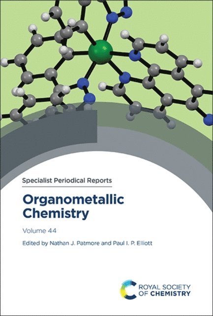 Paul I P Elliott, Nathan J Patmore - Organometallic Chemistry, E-bok