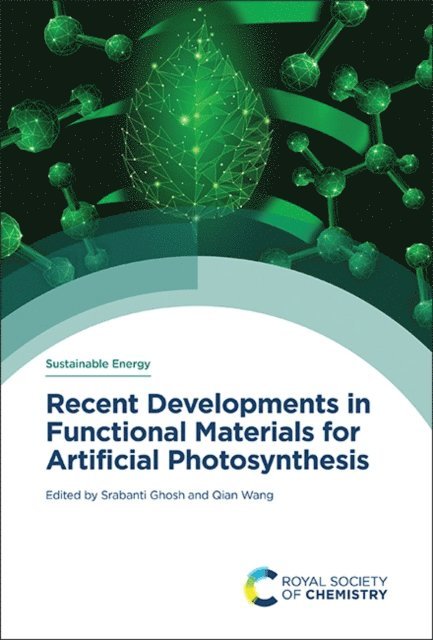 Qian Wang, Srabanti Ghosh - Recent Developments in Functional Materials for Artificial Photosynthesis, E-bok