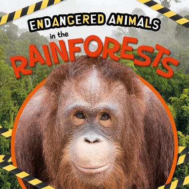 Emilie Dufresne - In the Rainforests, Inbunden