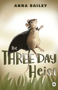 Three Day Heist