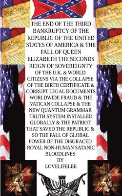 LOVE LIFE LEE - Collapse of the old Paradigm System The American Citizen that saved Humanity, Häftad