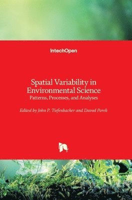 John P. Tiefenbacher, Davod Poreh - Spatial Variability in Environmental Science, Inbunden