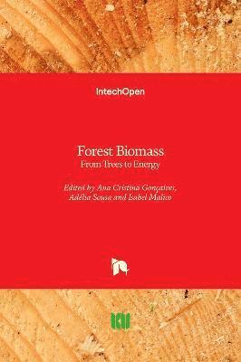 Isabel Malico, Adélia Sousa, Ana Cristina Gonçalves - Forest Biomass, Inbunden