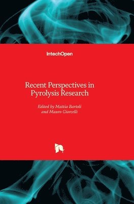 Mauro Giorcelli, Mattia Bartoli - Recent Perspectives in Pyrolysis Research, Inbunden. Tillgänglighet: Lägg i varukorg