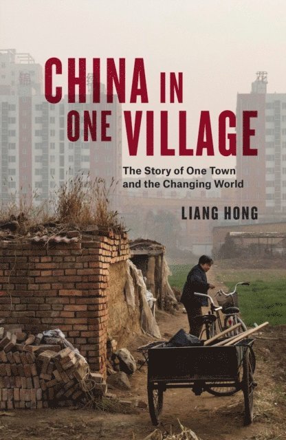 Liang Hong - China in One Village, E-bok