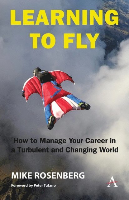 Mike Rosenberg - Learning to Fly: How to Manage Your Career in a Turbulent and Changing World, E-bok