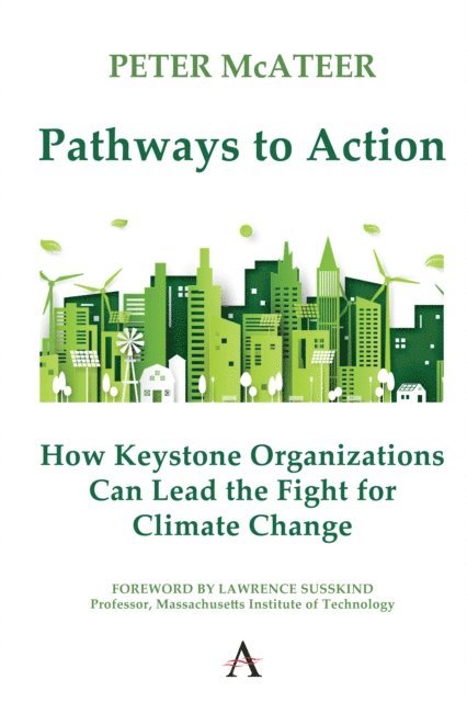 Peter McAteer - Pathways to Action, E-bok