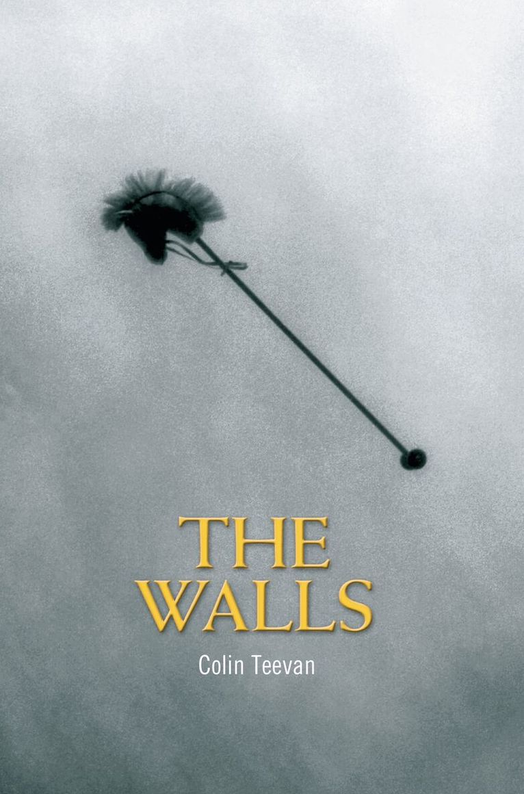 Colin Teevan - Walls, Häftad. Tillgänglighet: Lägg i varukorg