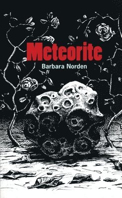 Barbara Norden - Meteorite, Häftad