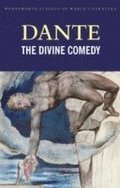 Divine Comedy