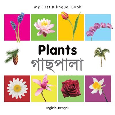 Milet - My First Bilingual Book -  Plants (English-Bengali), Kartonnage. Tillgänglighet: Lägg i varukorg