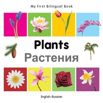 Milet - My First Bilingual Book -  Plants (English-Russian), Kartonnage. Tillgänglighet: Lägg i varukorg