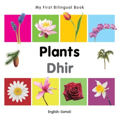 Milet - My First Bilingual Book -  Plants (English-Somali), Kartonnage. Tillgänglighet: Lägg i varukorg
