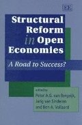 Structural Reform in Open Economies