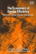 Economics of Energy Efficiency