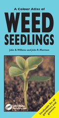Colour Atlas of Weed Seedlings
