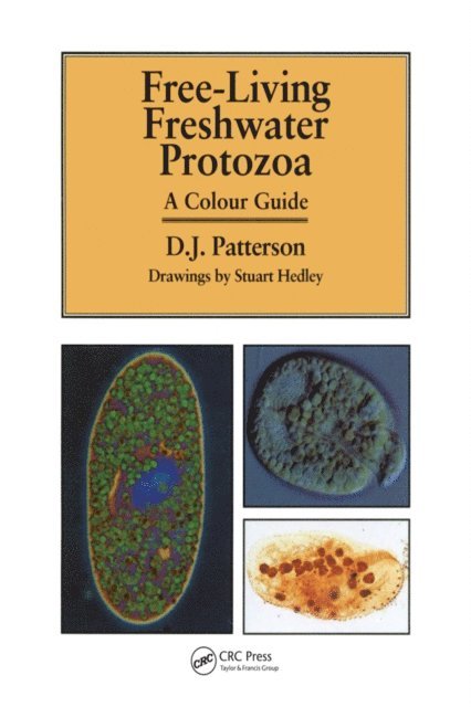 Stuart Hedley, David J. Patterson - Freeliving Freshwater Protozoa, E-bok