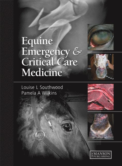 Pamela A. Wilkins, Louise Southwood - Equine Emergency and Critical Care Medicine, E-bok