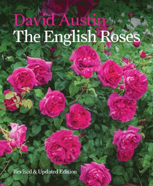 David Austin - English Roses, E-bok