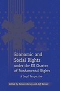 Economic and Social Rights under the EU Charter of Fundamental Rights