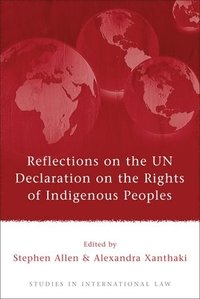 Reflections on the UN Declaration on the Rights of Indigenous Peoples