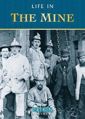 Anthony Burton - Life in the Mine, Häftad