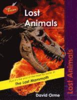 Orme David - Lost Animals, Häftad