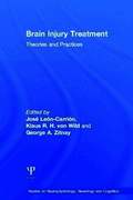 Brain Injury Treatment