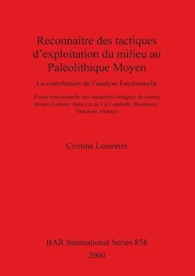Cristina Lemorini - Reconnaître des tactiques d'exploitation du milieu au Paléolithique Moyen, Häftad