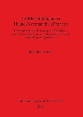 Bénédicte Souffi - Mesolithique En Haute-Normandie (France), Häftad