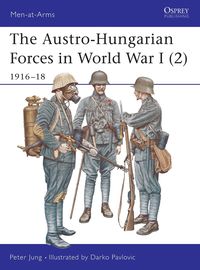 Austro-Hungarian Forces in World War I (2)