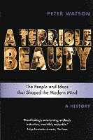 Terrible Beauty: A Cultural History of the Twentieth Century