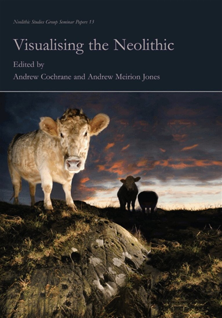 Andrew Meirion Jones, Andrew Cochrane - Visualising the Neolithic, E-bok