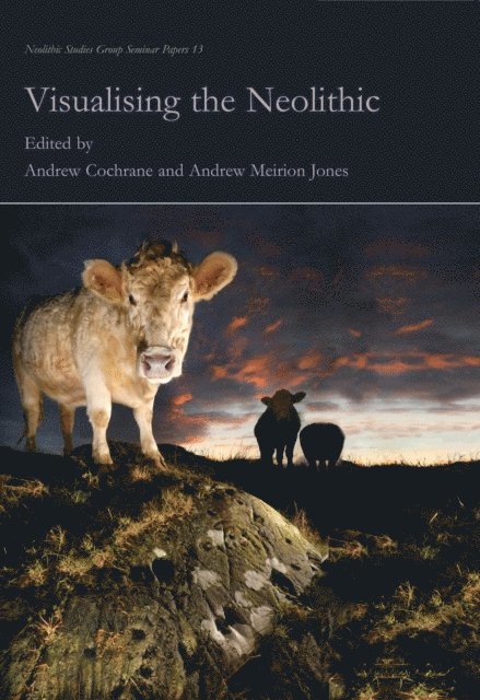 Jones Andrew Meirion Jones, Cochrane Andrew Cochrane - Visualising the Neolithic, E-bok. Tillgänglighet: Lägg i varukorg