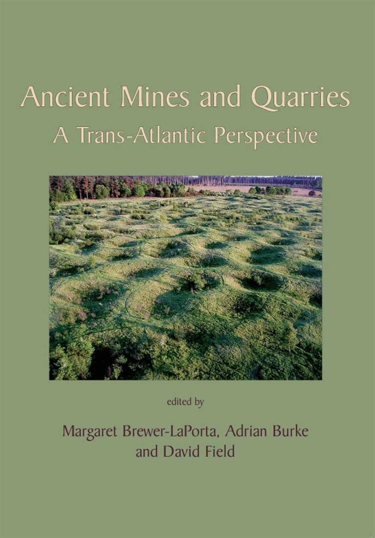 Adrian Burke, David Field, Margaret Brewer-LaPorta - Ancient Mines and Quarries, E-bok
