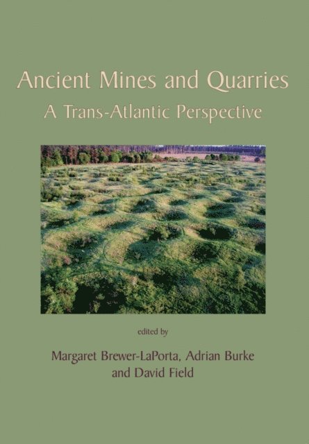 Field David Field, Burke Adrian Burke, Brewer-LaPorta Margaret Brewer-LaPorta - Ancient Mines and Quarries, E-bok