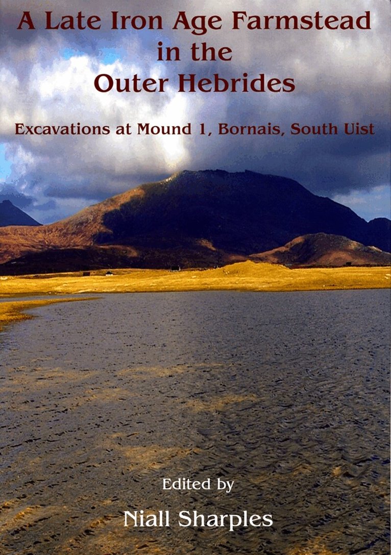 Niall Sharples - A Late Iron Age farmstead in the Outer Hebrides, E-bok